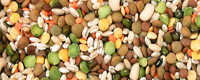Dried Vegetables