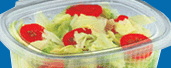 Hinged Lid Container
