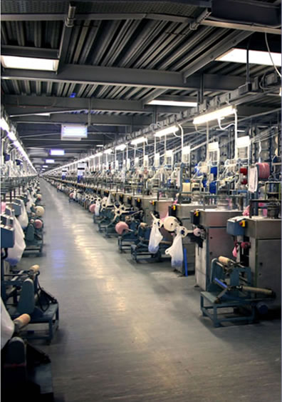 SCOTNET Elastic Netting Plant