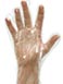 Clear Polythene Gloves