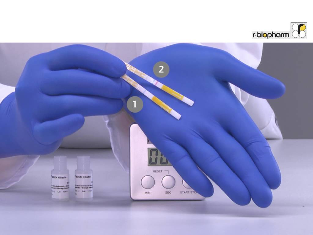 GLUTENFREE TESTING KIT ANALYTICAL KITS Scobies Direct