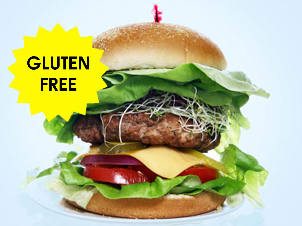 Gluten Free Burger Supreme  Mix 1KG Pack