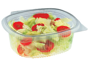 Oval Hinged Lid Container Pet, 1000GR 400/BOX