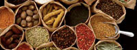 Herbs & Spices