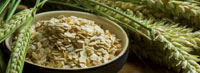 Rusks & Oatmeal