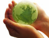 Eco Friendly Packaging