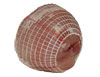 SUPERIOR ANTI-CAVITY HAM NETTING 100M ROLL