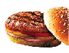 STEAK BURGER MIX 1KG PACK