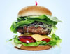 SEA SALT & BLACK PEPPER BURGER MIX 1KG PACK