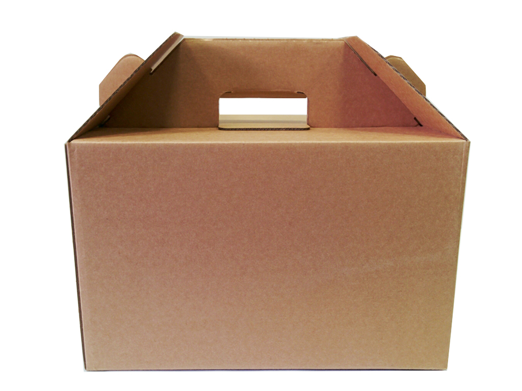 DELIVERY BOX PLAIN LARGE 410X300X270MM