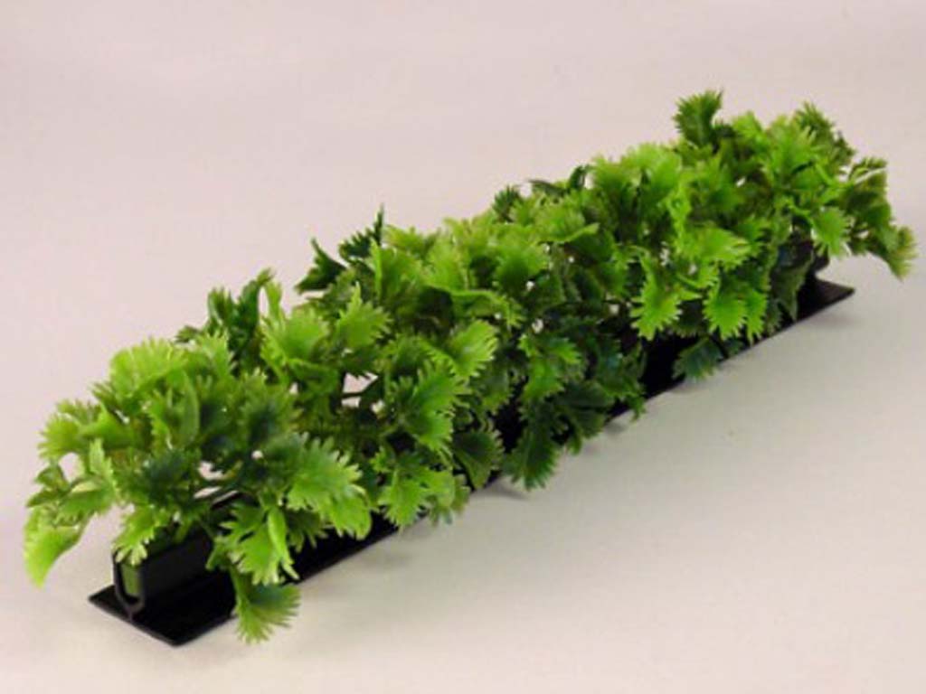 Garnish Luxury Parsley L=250MM Black Base 6/BOX