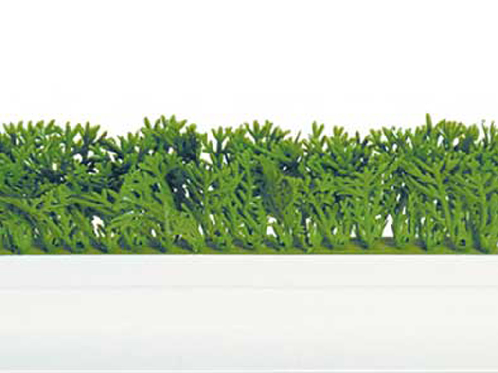 Divider Green Garnish White BASE,L=750,H=80MM