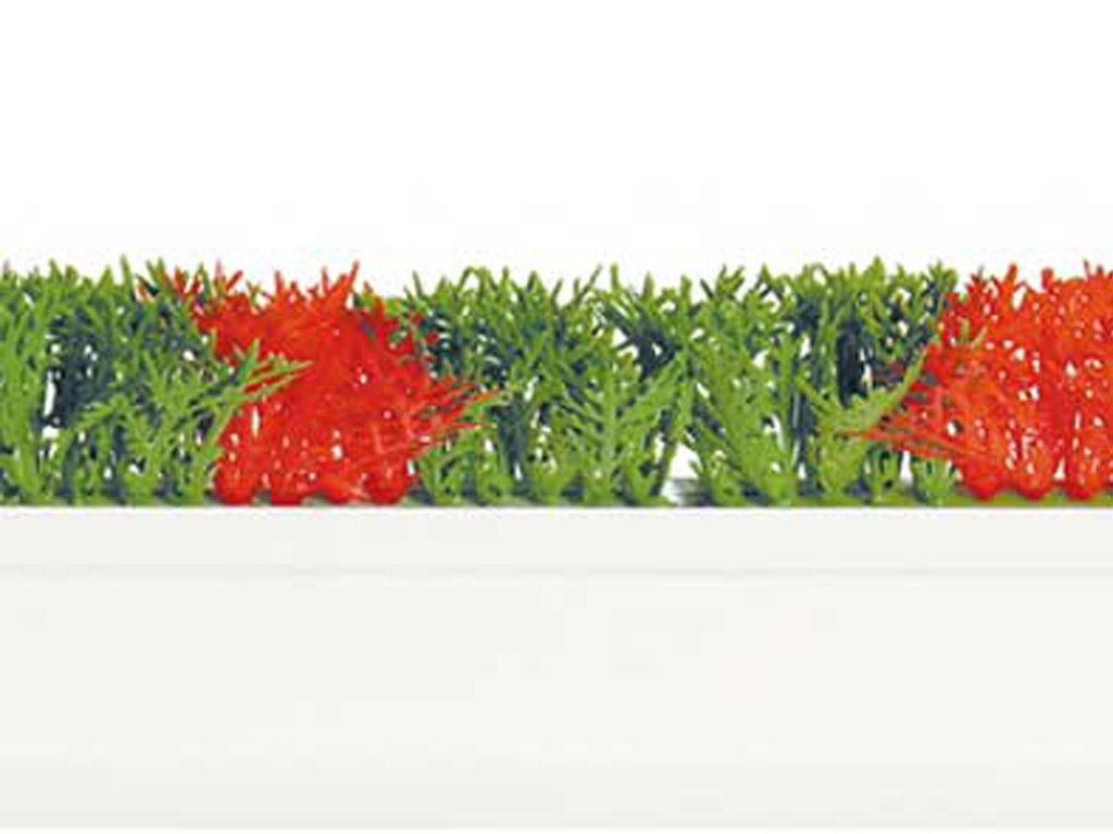 DIVIDER GARNISH RED/GREEN WHITE BASE,L=750,H=80MM