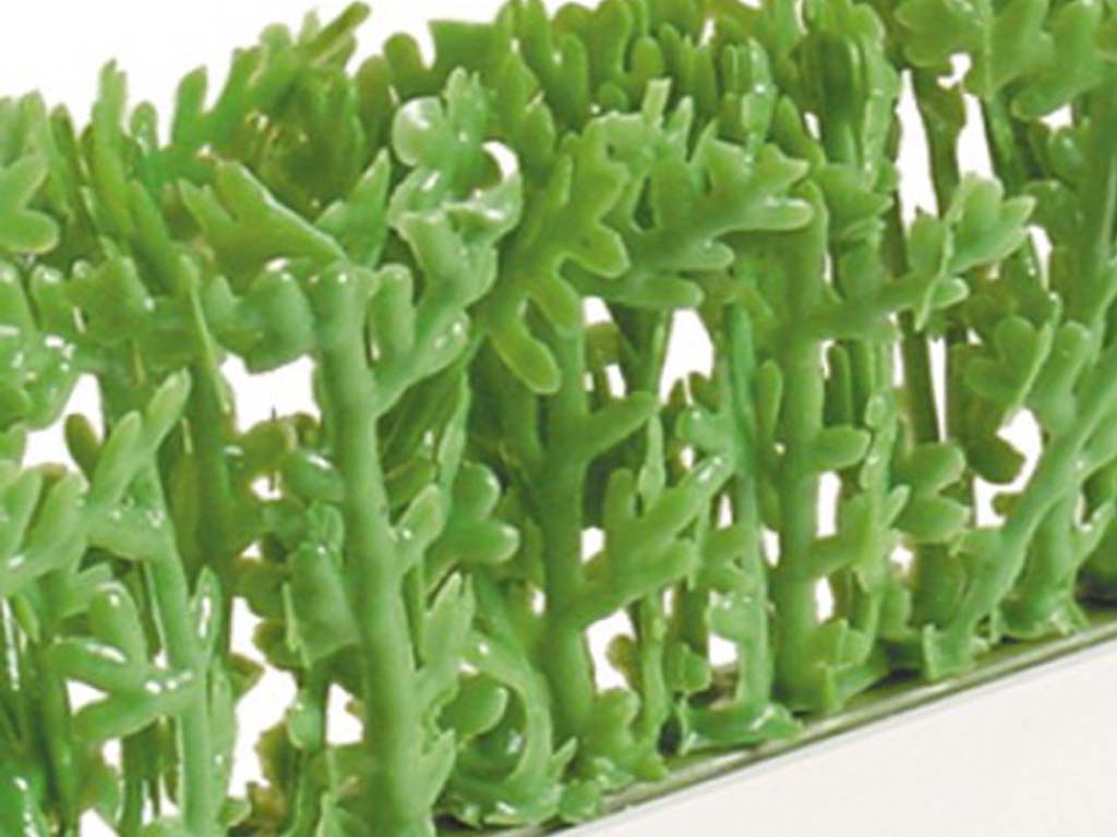 Garnish Green Cypress L=250MM White Base 12/BOX