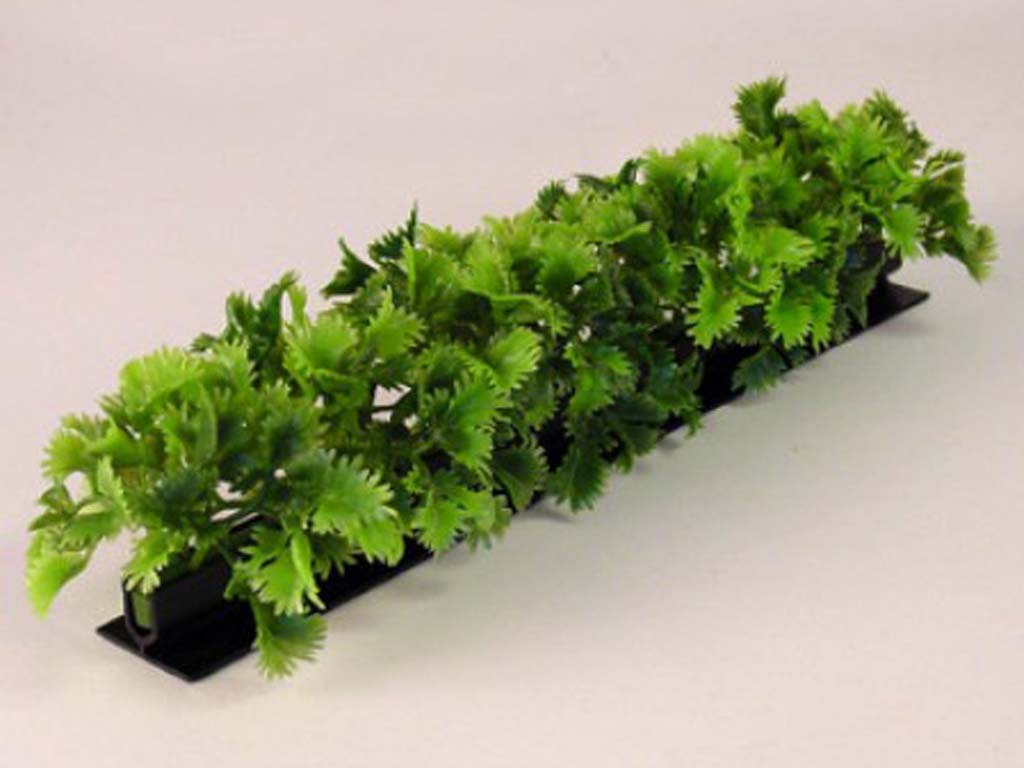 GARNISH LUXURY PARSLEY BLACK BASE 750MM