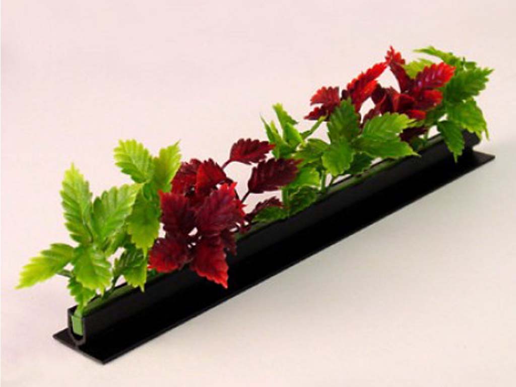 Garnish Red Green Coleus L=250MM Black Base 12/BOX