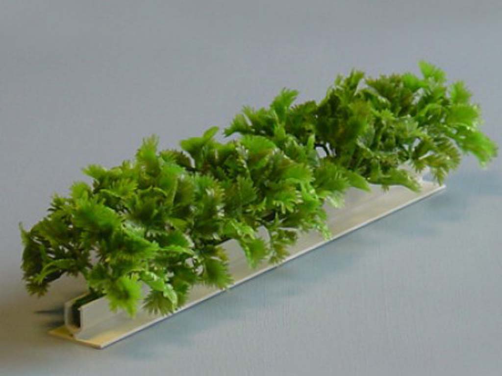 GARNISH LUXURY PARSLEY L=250MM WHITE BASE 6/BOX