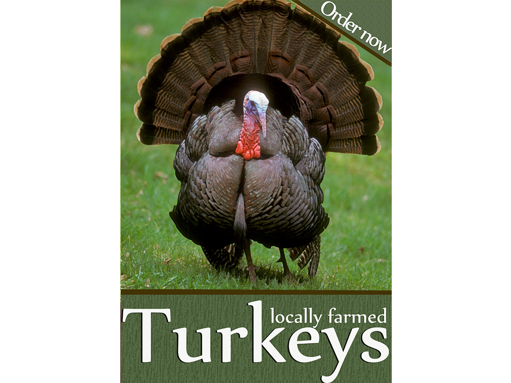 Christmas Poster Locally Farmed Turkeys