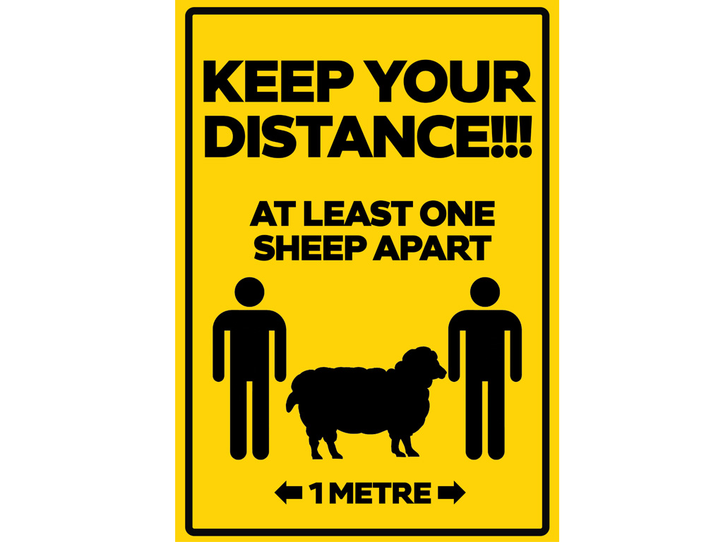 Keep Your Distance 1M Sheep Poster A1 Portrait