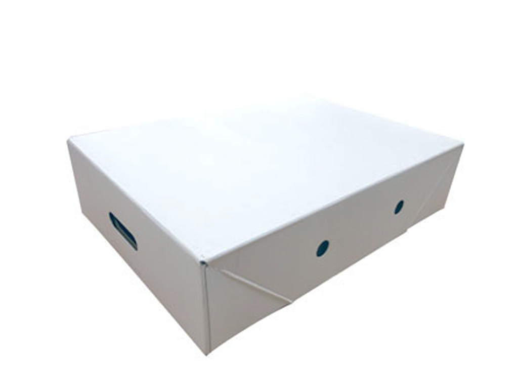 MEAT BOX LID WHITE 550 X 385 X 135MM 30/PACK