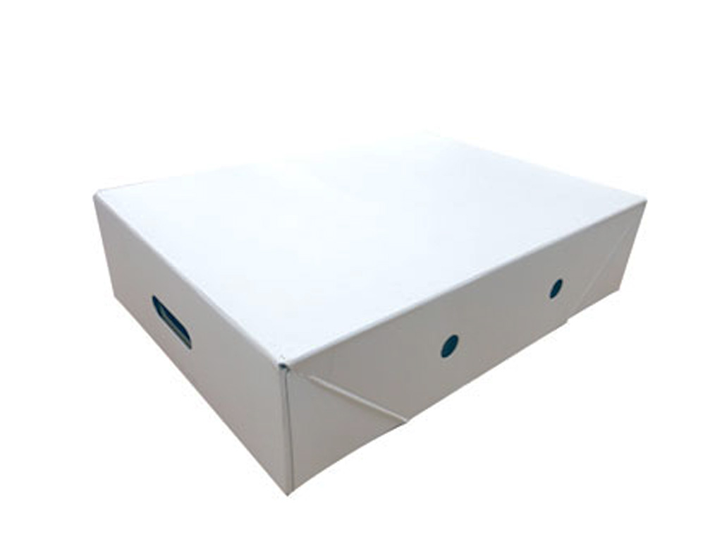 Meat Box Lid White 550 X 385 X 135MM 30/PACK