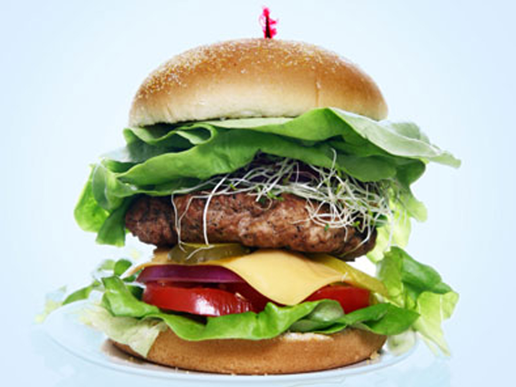 Organic Gluten Free Sea Salt & Pepper Burger 1KG