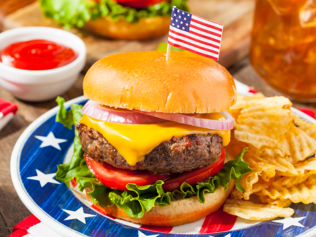 Organic American Burger 5KG