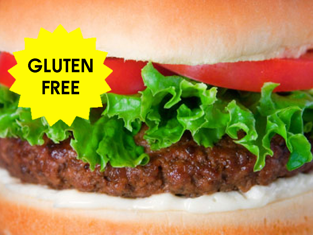 Gluten Free Angus Burger Mix 1KG
