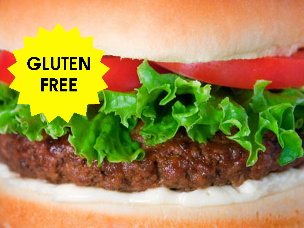 GLUTEN FREE ANGUS BURGER MIX 1KG