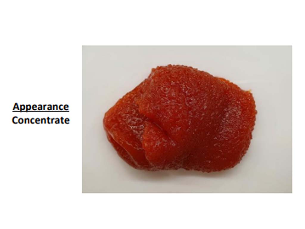 Goldfish Chinese Sweet & Sour Paste 12X405G