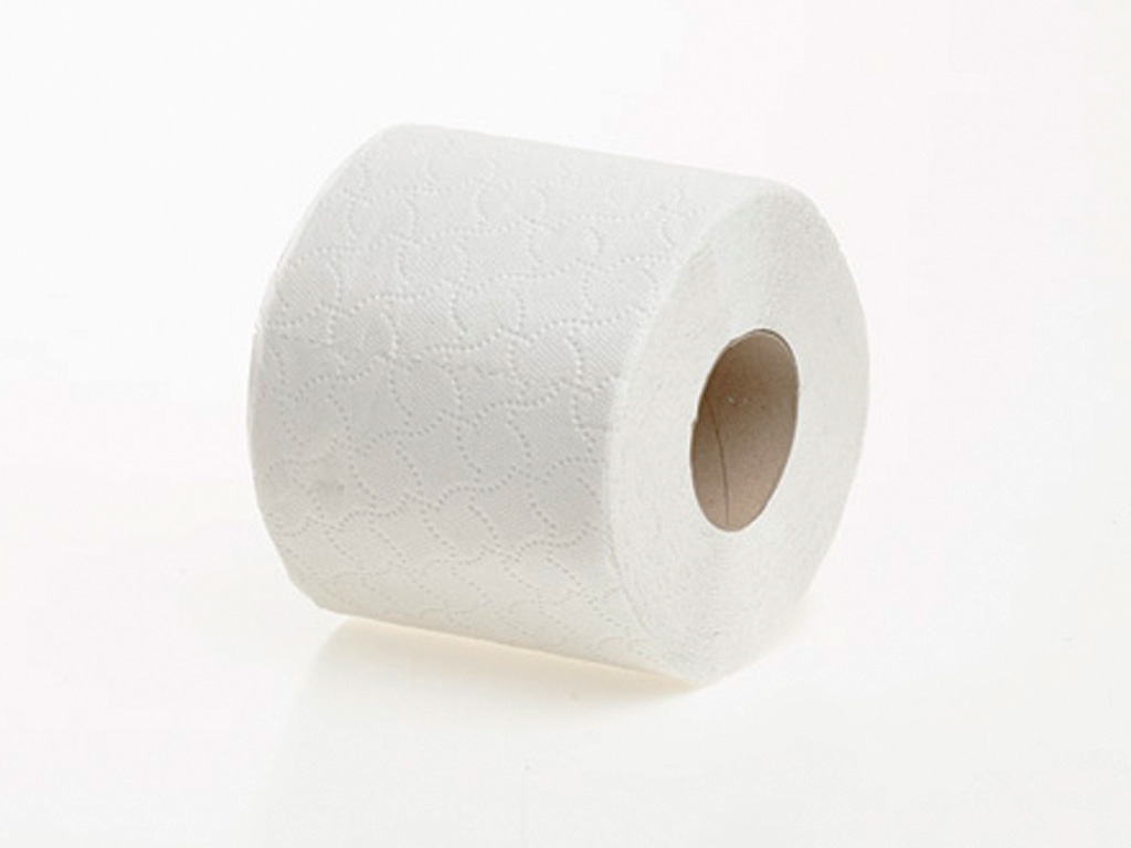 Toilet Roll 320 Sheets 36 Rolls / Pack