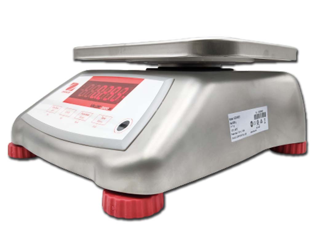 Bench Scale 6KG Stainless Steel 190 X 242MM