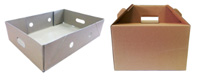 Carboard Boxes