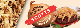 Scotts Crispy Onions